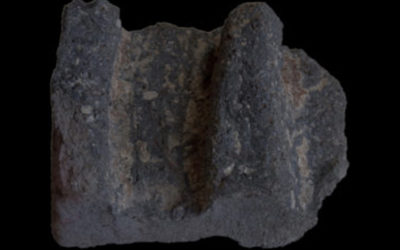 RICERCA