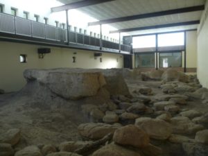 Il Museo Pleistocenico di Rebibbia - Casal de’ Pazzi