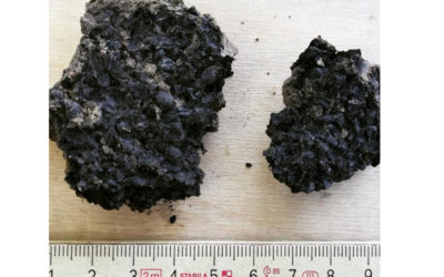 ARCHEOCURIOSITY: CARBONIZED CEREAL SEEDS FOUND AT DOMO