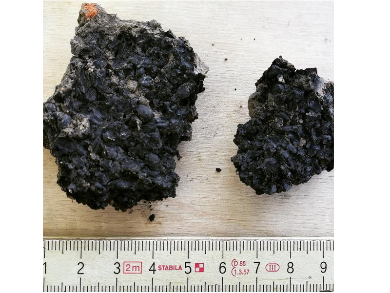 ARCHEOCURIOSITY: CARBONIZED CEREAL SEEDS FOUND AT DOMO